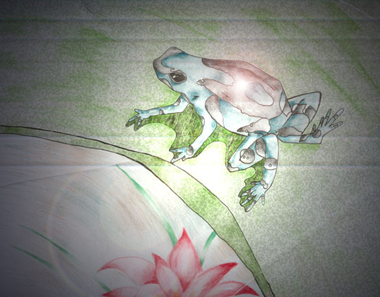 Posin Arrow Frog by Tikuu