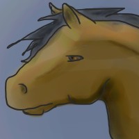 Pony by Tin