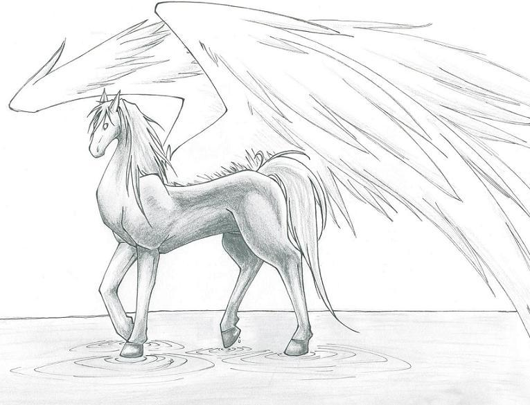 Walking on Water - Pegasus doodle by Trinity_Fire