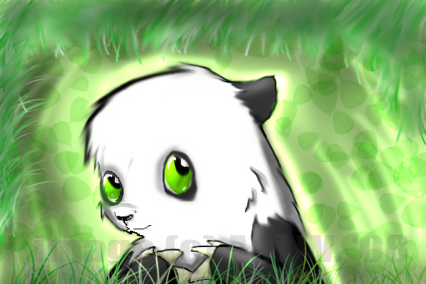 Panda. by Triphazard
