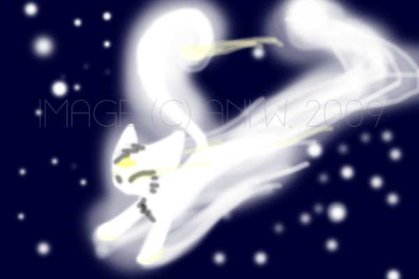 Star Kitty by Triphazard