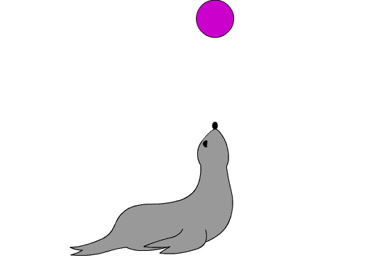 Seal Animation by Triss