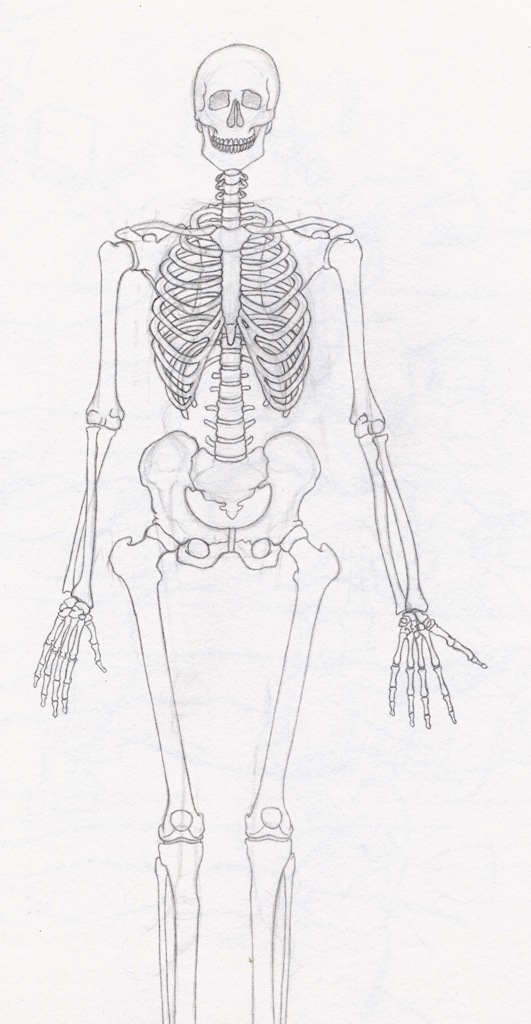 Skeleton Draft 1 by Triss