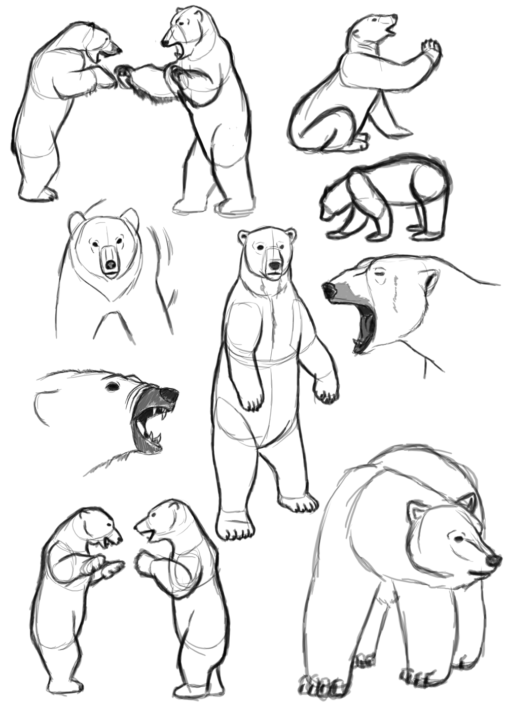 Polar Bear Sketchdump by Triss