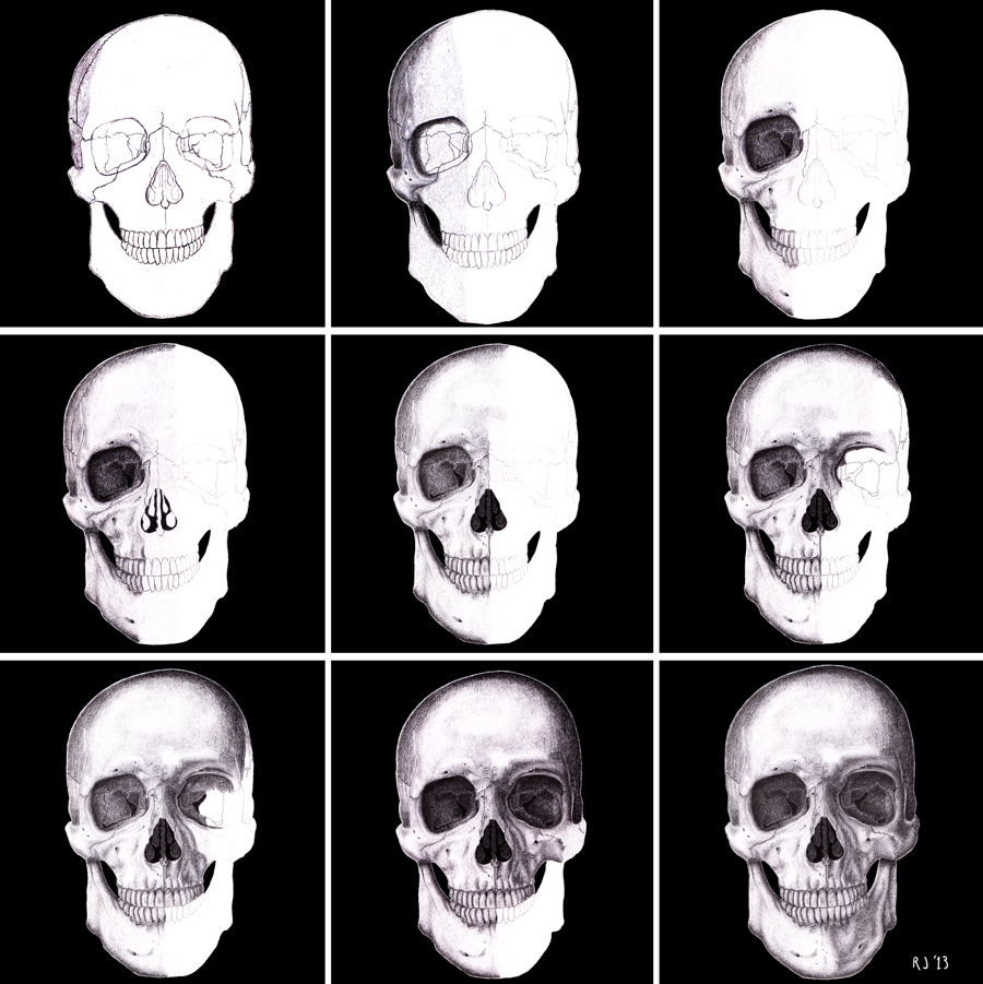 Skull Progress by Triss