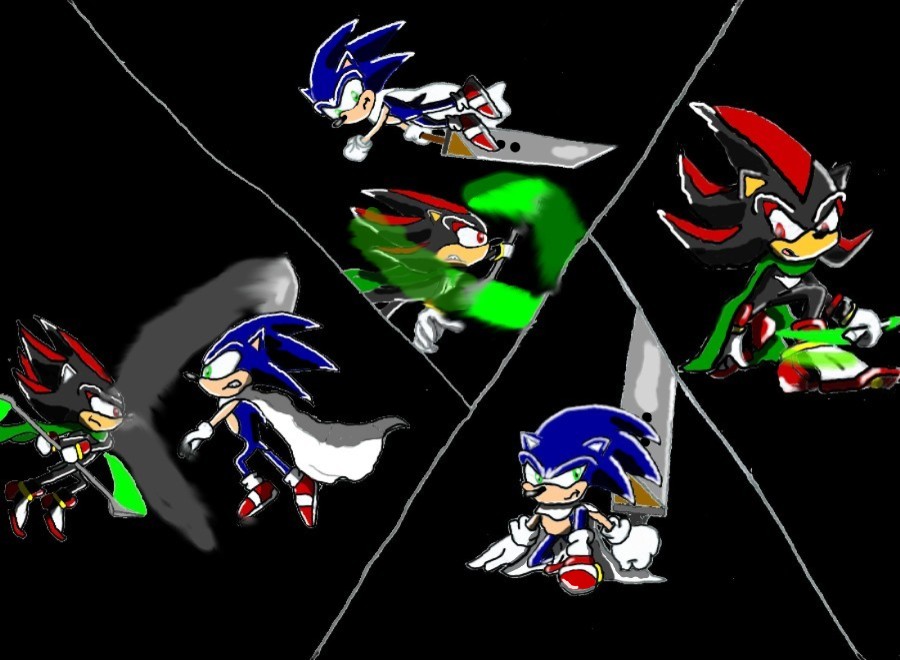 !!Sonic VS. Shadow!! Part 2 by TrueBlue02