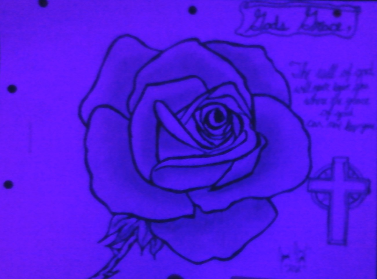A Rose by TrueDullahan94