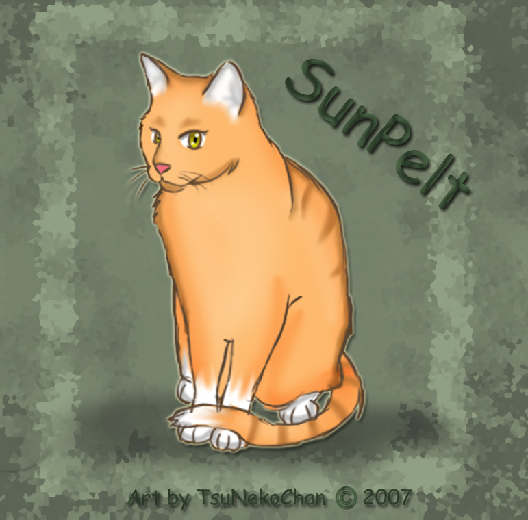 Sunpelt of FrostClan by TsuNekoChan