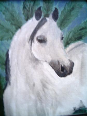 Portrait of Al Marah Stallion by Tsuki_Makkura