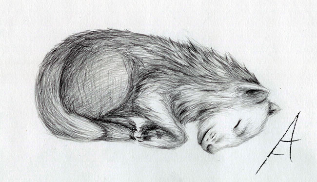 Wolf Cub by TwilightDragon