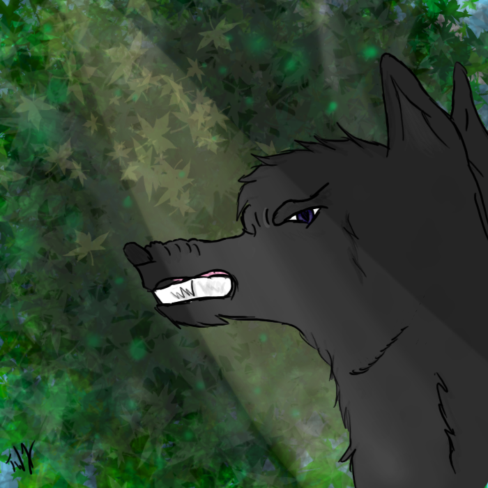 A wolf in the forrest by TwilightWolf1