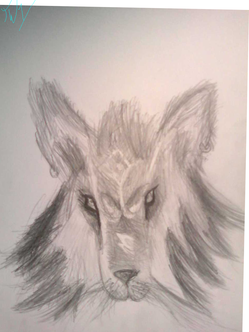 Wolf Link sketch by TwilightWolf1
