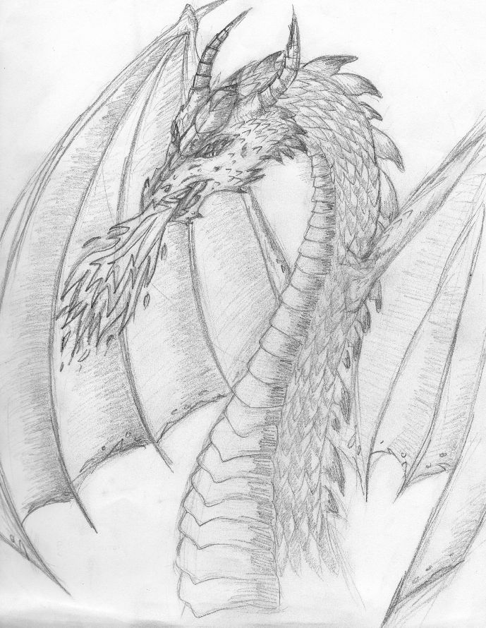 Dragon by taraforest