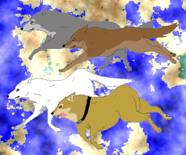 wolfs rain( running wolves) by tasha