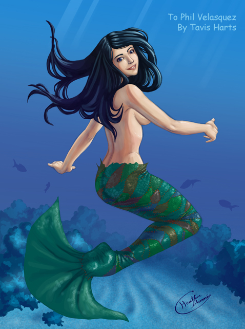 The patchwork mermaid by tavisharts