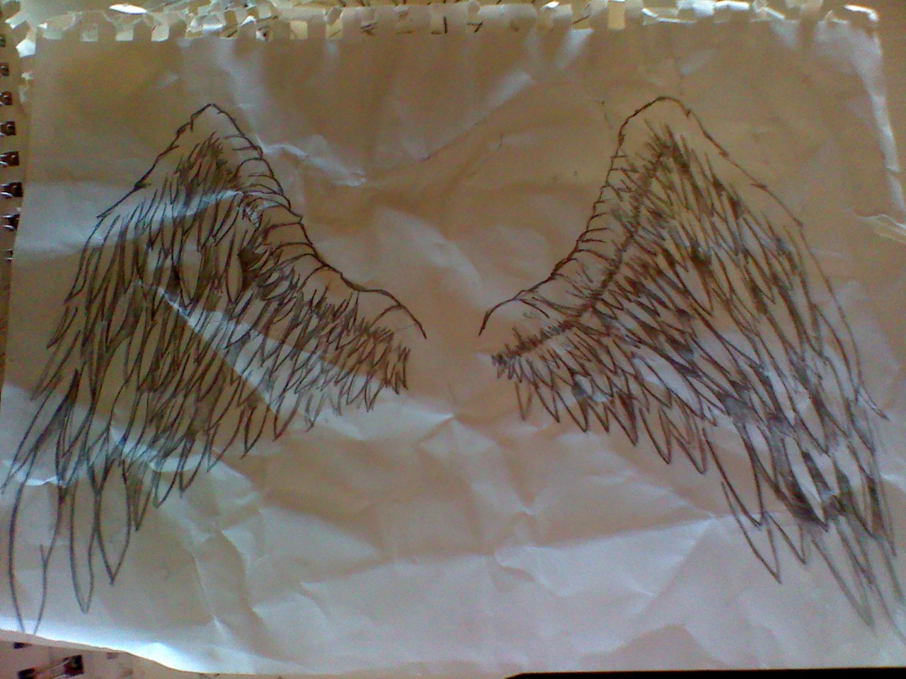 angel wings by tennischick