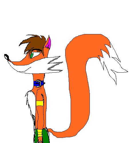 Zack from the Foxtail tribe by the_half_catdemon