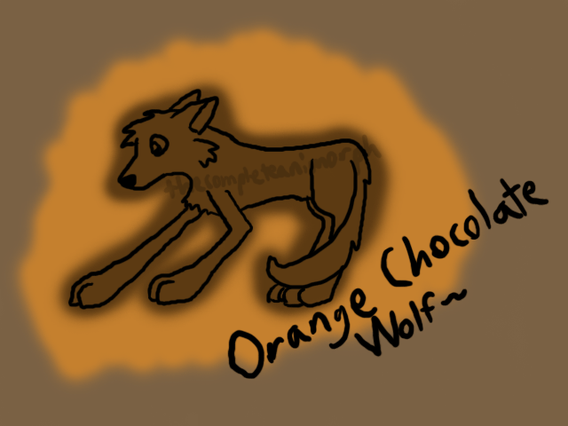 Orange Chocolate Wolf by thecompleteanimorph