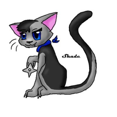 My new kitty, Shade by thecompleteanimorph