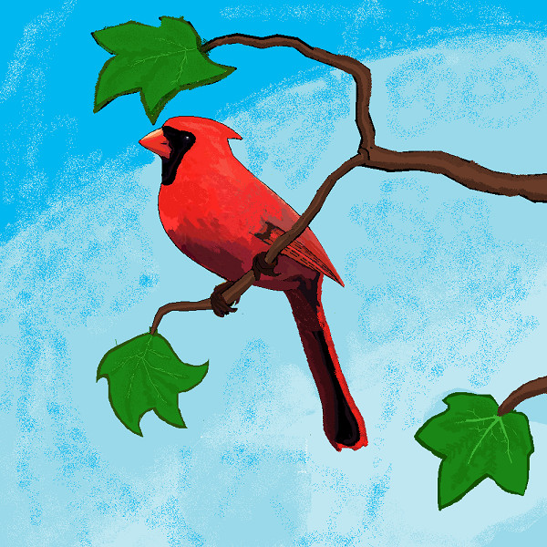 cardinal first try a ms paint realism by thingy