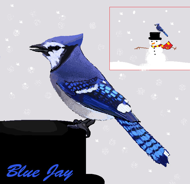 Blue Jay ms paint by thingy