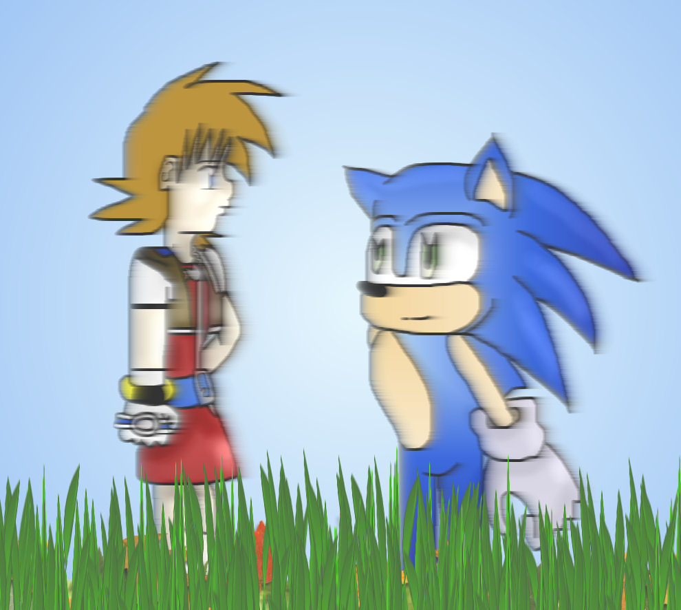 Sora And Sonic by tifa