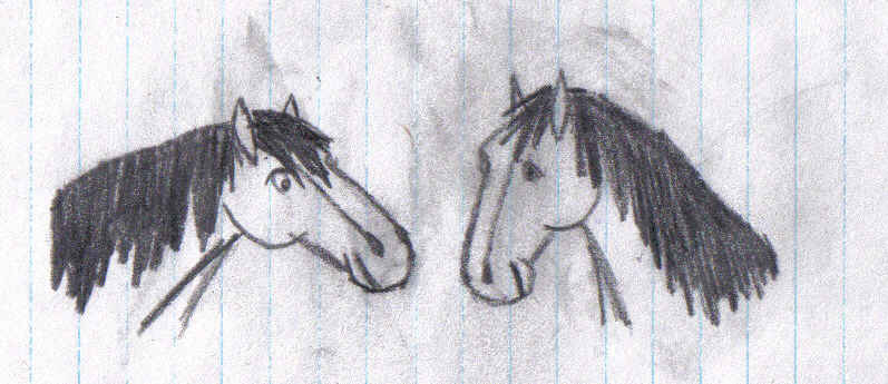 girl horse, boy horse by toboelover