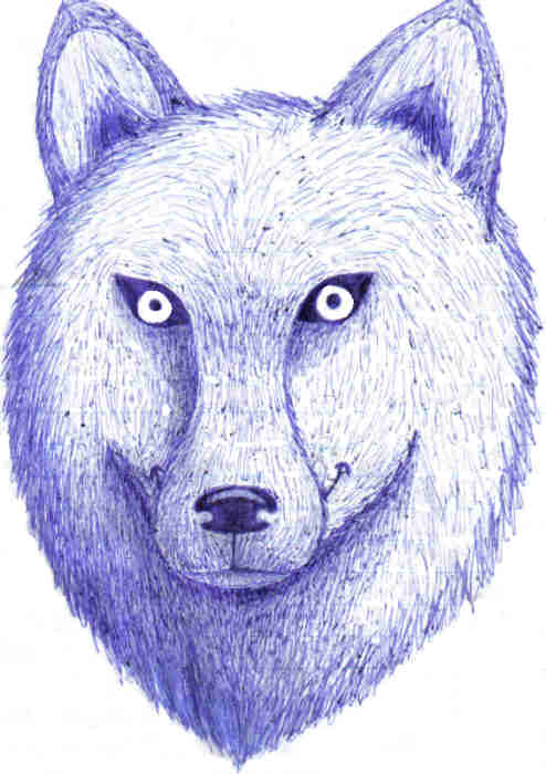 blue wolf by toboelover