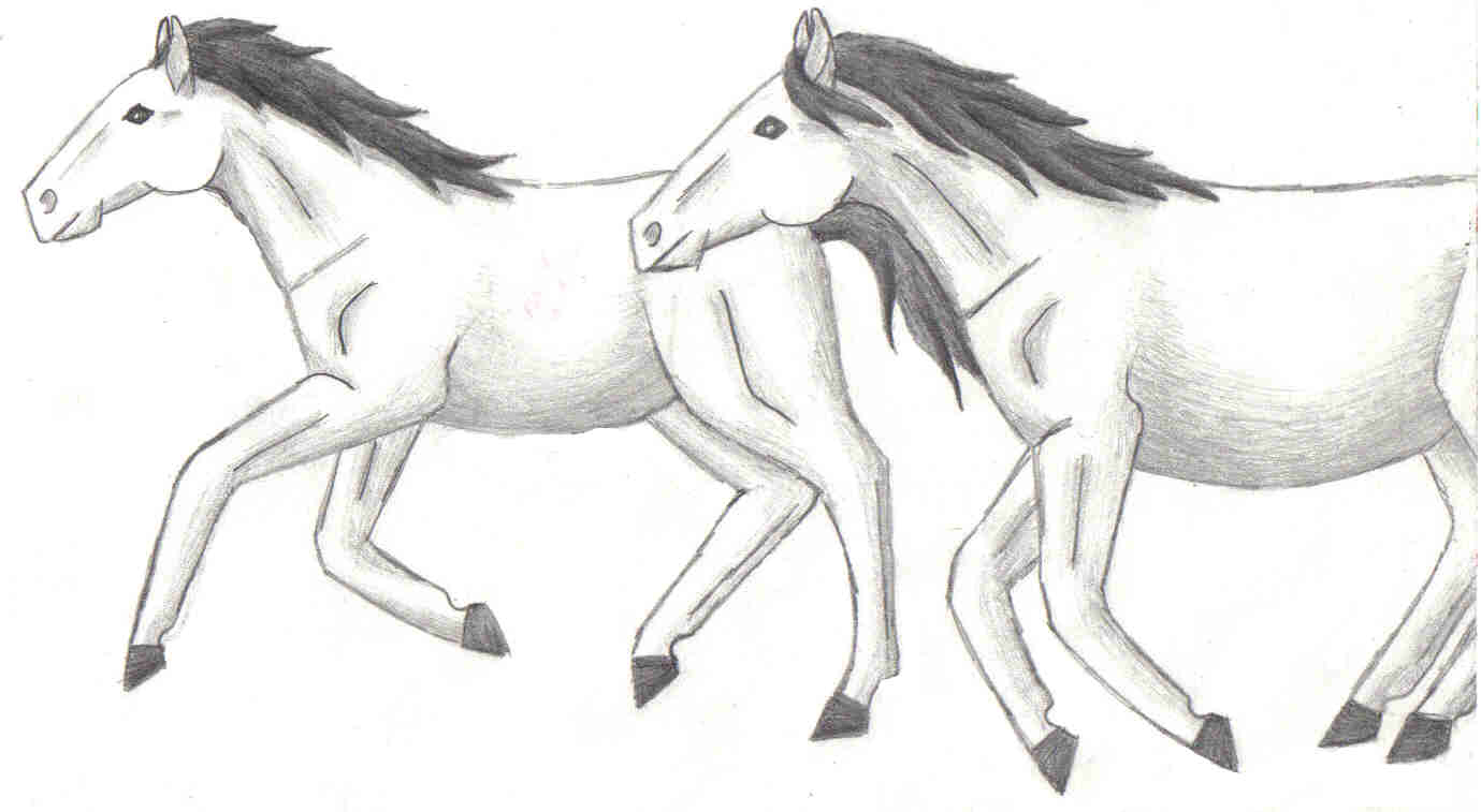running horses by toboelover
