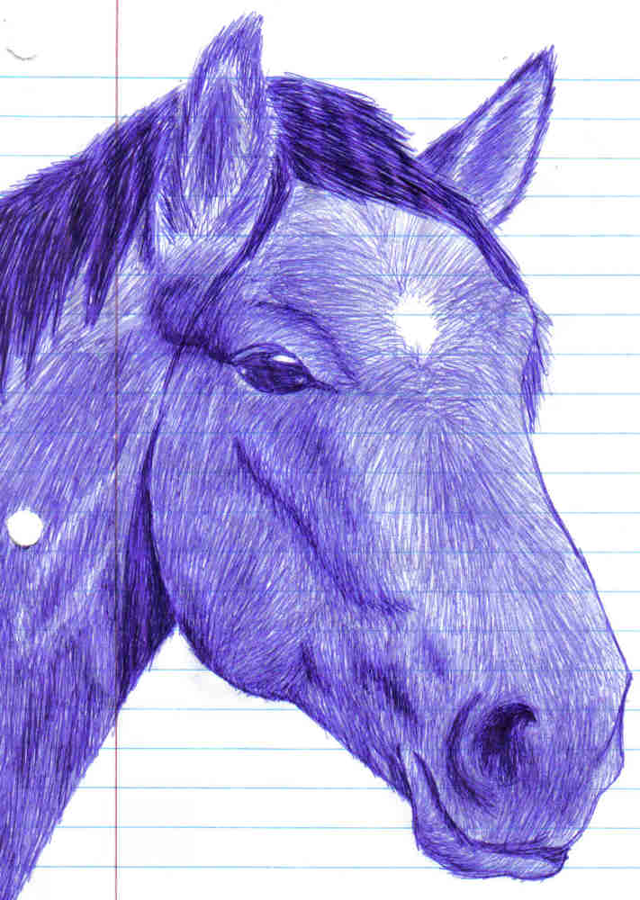 another horse head in pen by toboelover