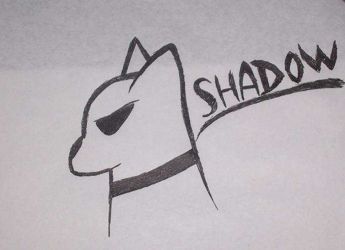 shadow by tonycat