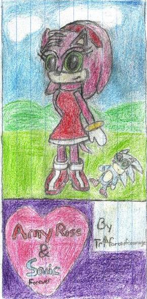 Amy Rose With Sonic Plushie by triforceofcourage