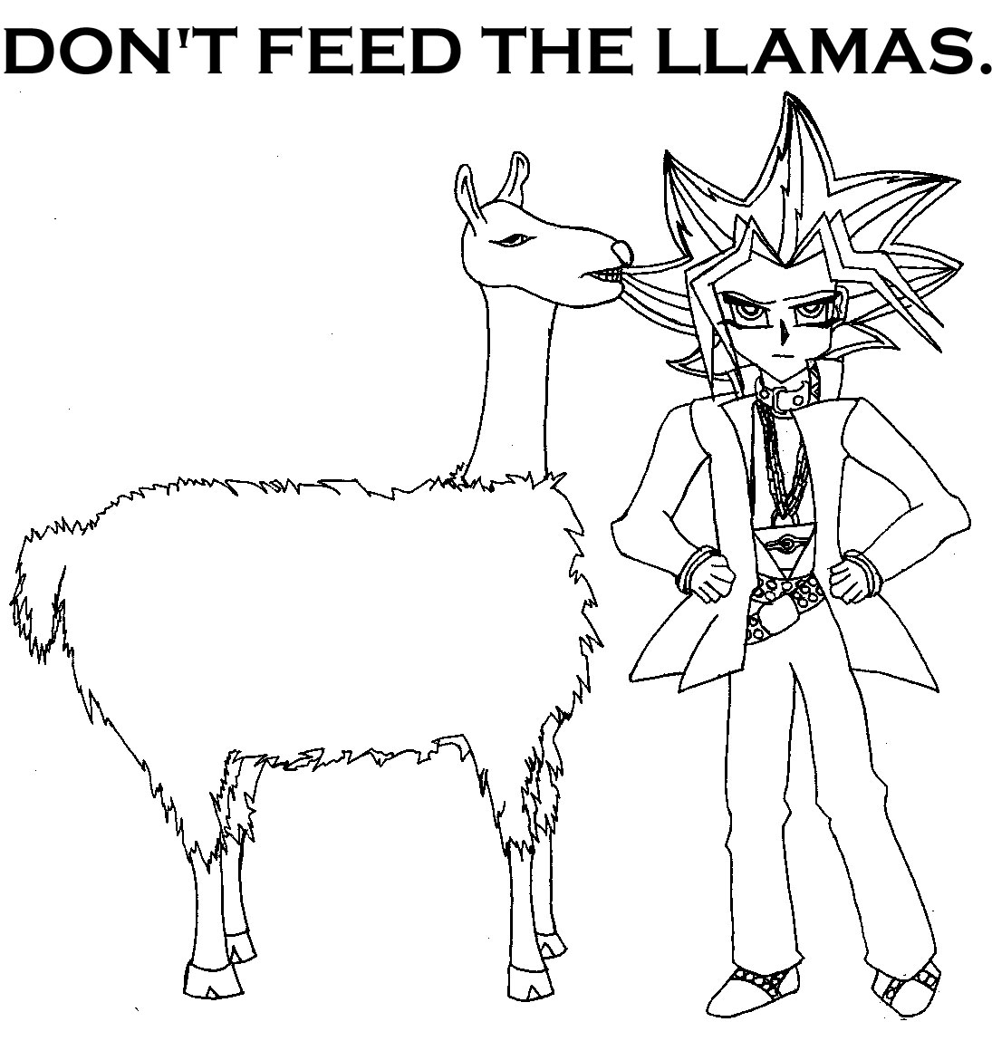 Don't Feed the Llamas. by trueyamigirlfriend