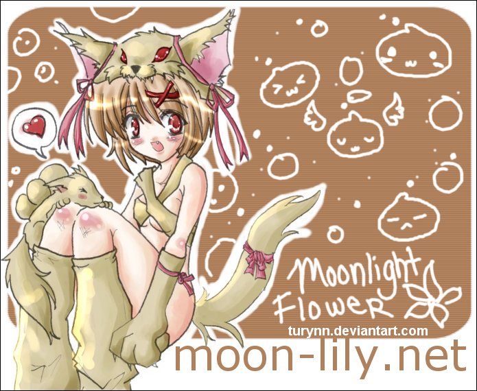 Moonight Flower by turynn