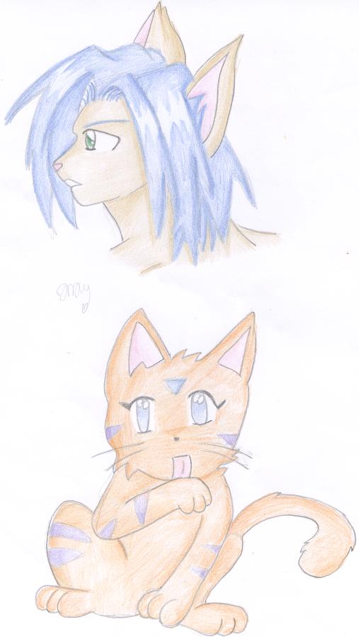 Random Cat Sketches by twighlight_wolf