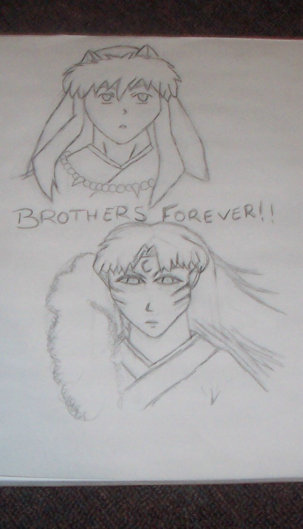Brothers Forever(Inu &Sessh) by twilightofdespair