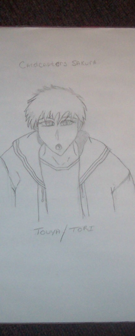 Touya/Tori by twilightofdespair