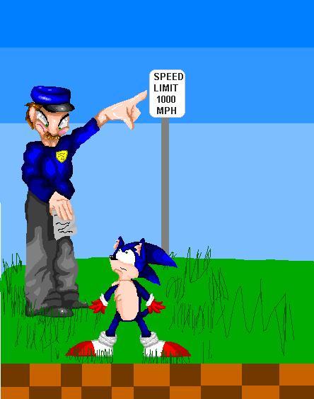 Sonic gets a Ticket by twitdragon