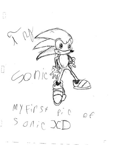 !!!!!!! the hedgehog named sonic!!!!!!! by tyedyemonster