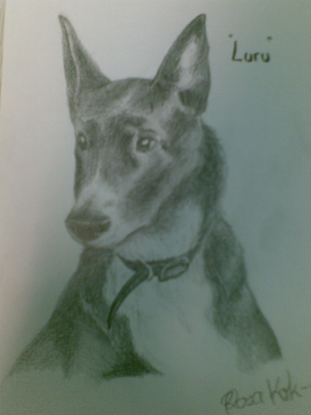 My dog, Luru by tzutosmila