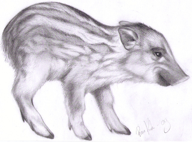 Wild boar piglet by tzutosmila