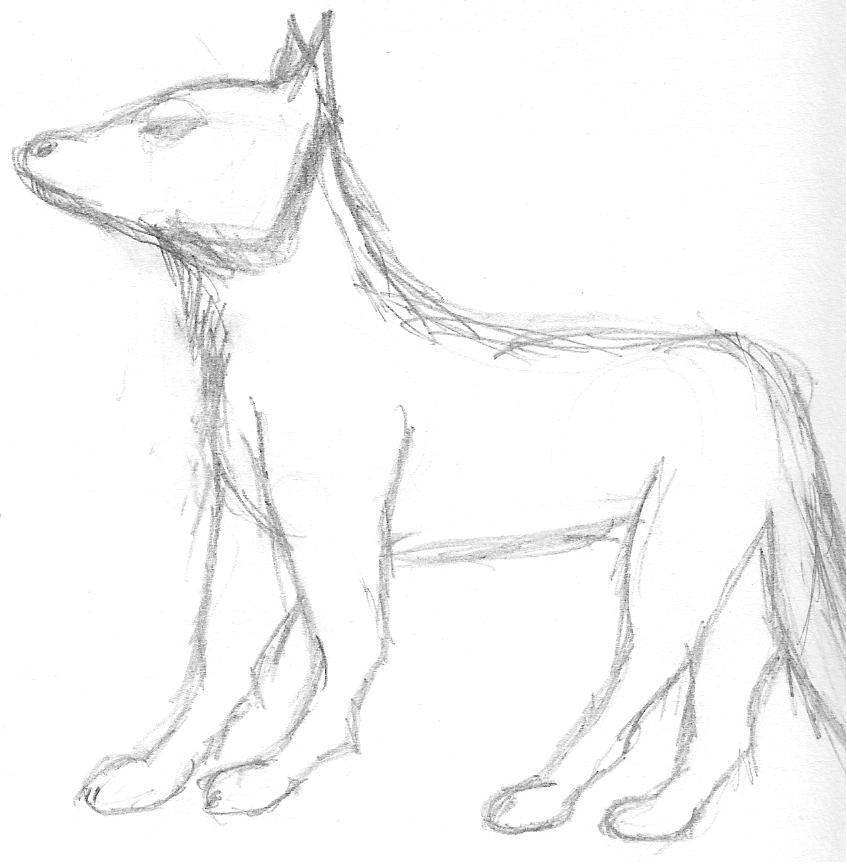 Wolf Sketch by UchihaGurl404