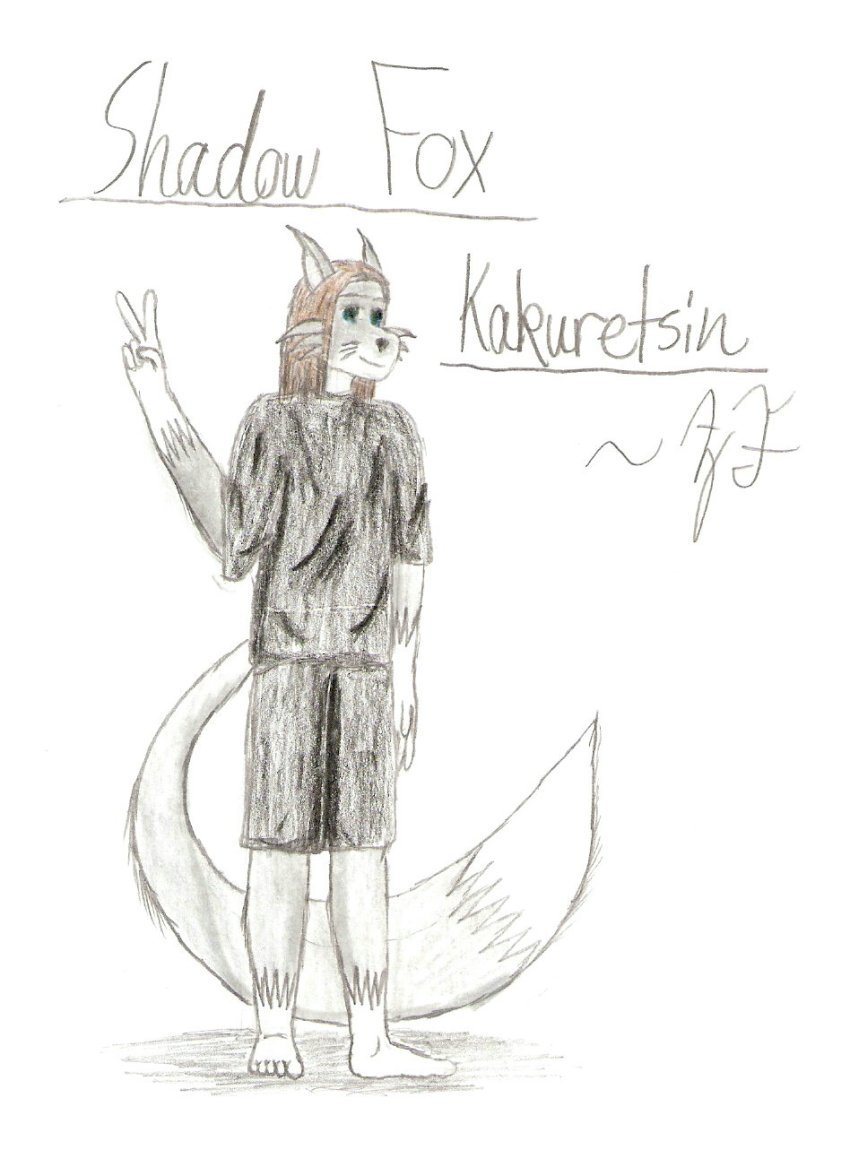 Shadow-Fox Kakuretsin by UltimaMewtwo