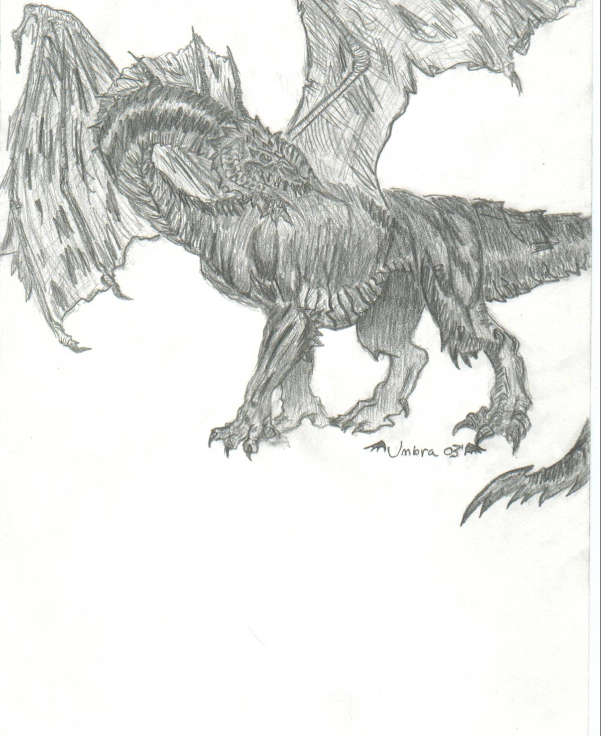 Black Dragon by Umbra