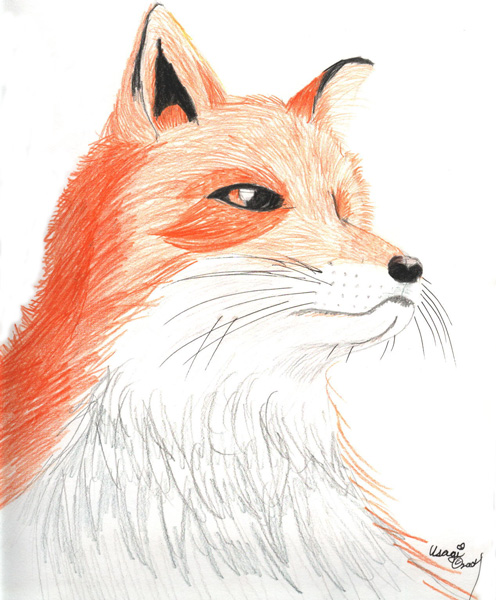Pumkin Fox by Usagi_The_White_Rabbit