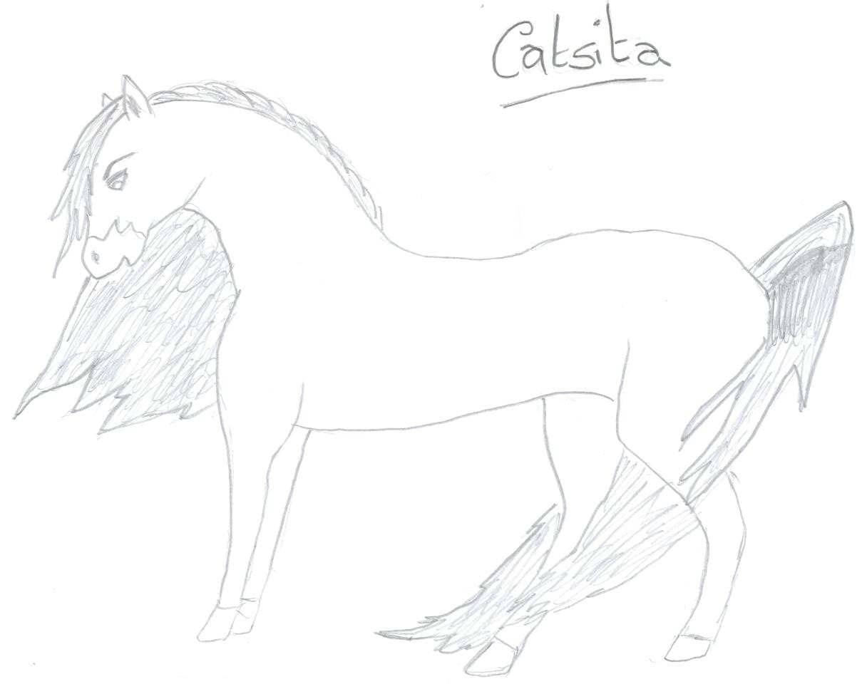 Catsita The Horse! by unicorn13564