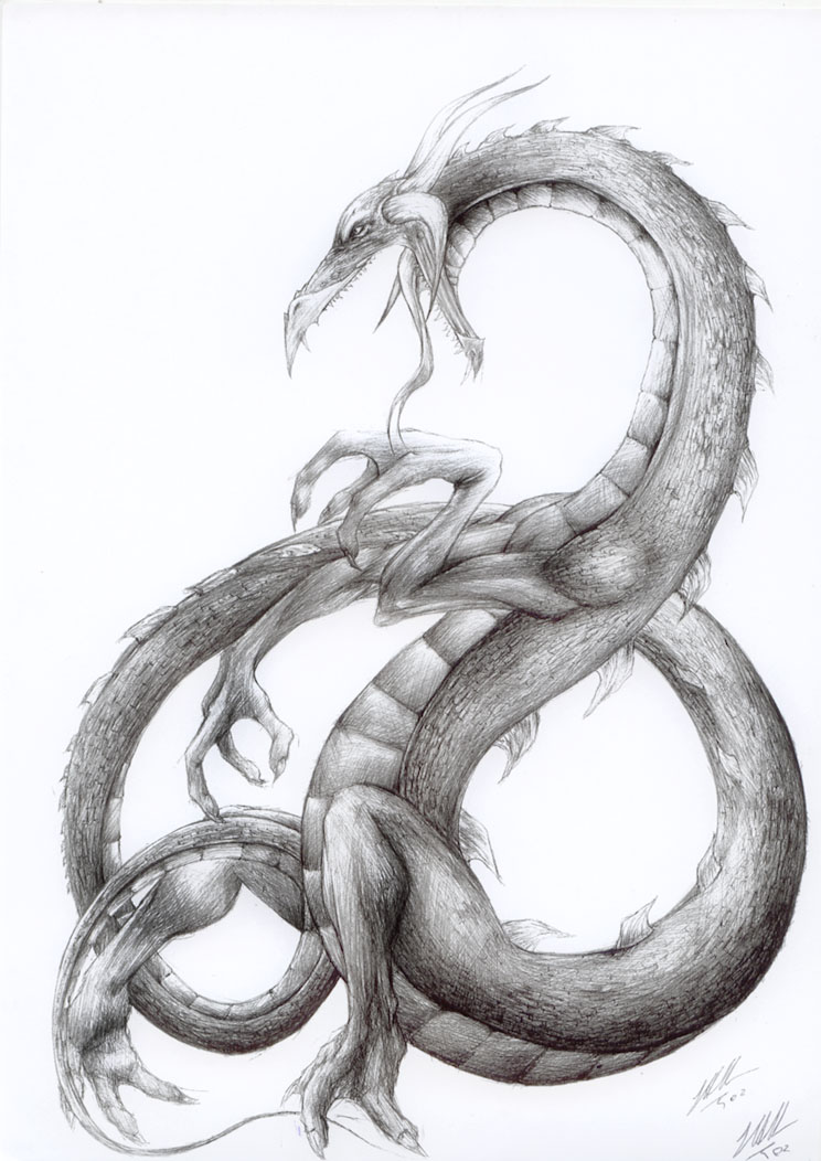 Dragon by urb