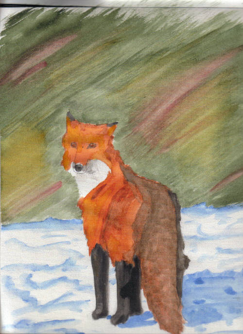Red fox by VDub
