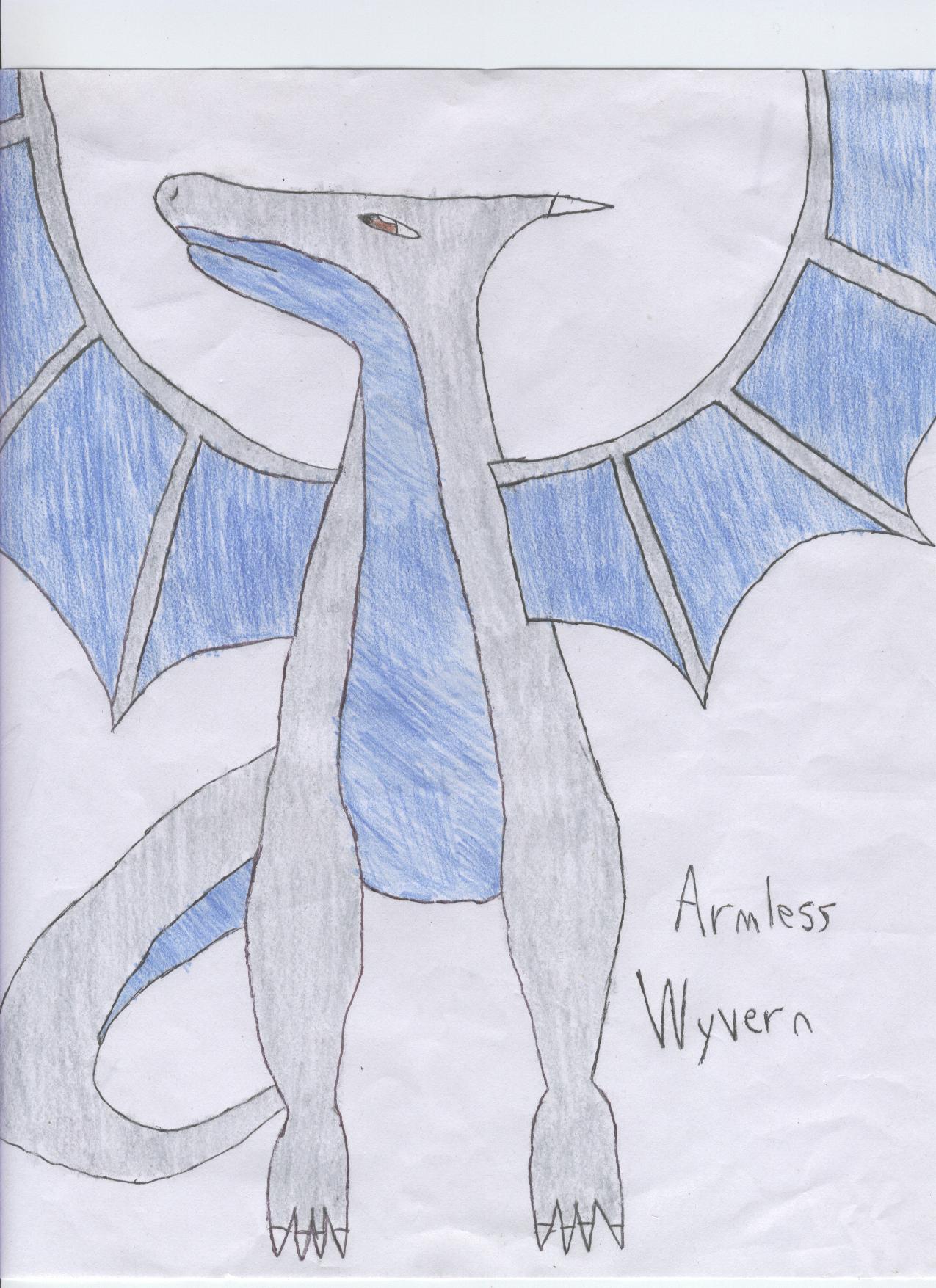 Armless Wyvern by VideogameMaster