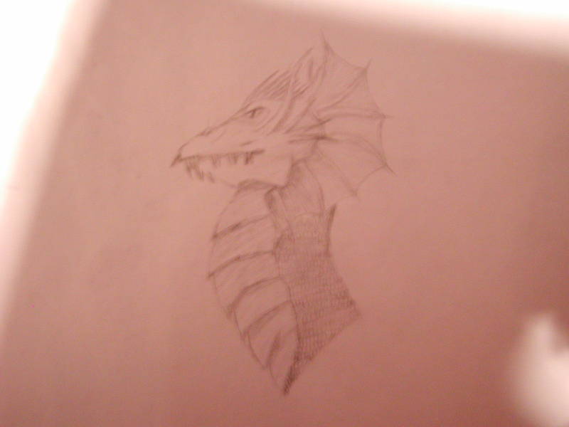 !!!Dragon!!! by Volmorous